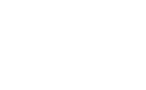 Network – By Sela
