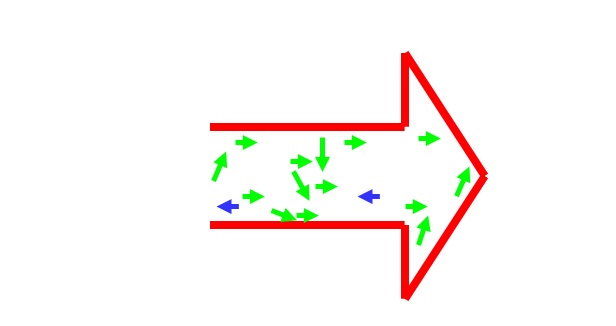 בית הספר למנהלים של סלע